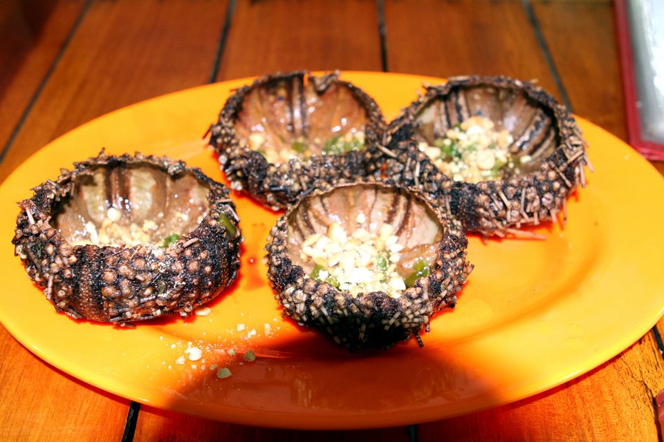 Nhum nướng mỡ hành (grilled sea urchin with scallion oil)